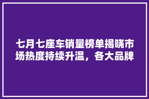 七月七座车销量榜单揭晓市场热度持续升温，各大品牌争奇斗艳