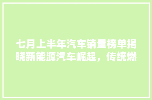 七月上半年汽车销量榜单揭晓新能源汽车崛起，传统燃油车面临挑战
