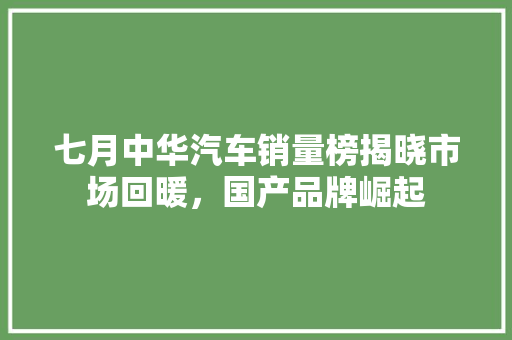 七月中华汽车销量榜揭晓市场回暖，国产品牌崛起