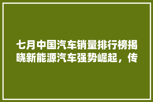 七月中国汽车销量排行榜揭晓新能源汽车强势崛起，传统燃油车面临挑战
