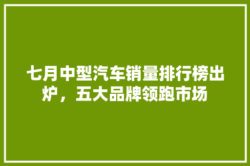 七月中型汽车销量排行榜出炉，五大品牌领跑市场