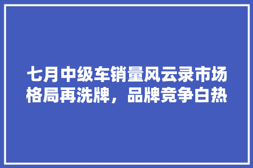 七月中级车销量风云录市场格局再洗牌，品牌竞争白热化
