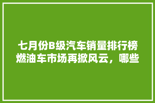 七月份B级汽车销量排行榜燃油车市场再掀风云，哪些车型脱颖而出