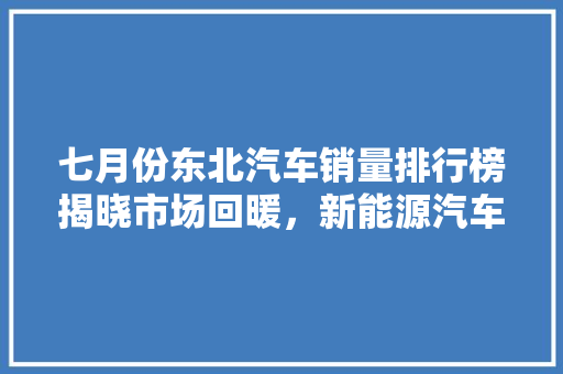 七月份东北汽车销量排行榜揭晓市场回暖，新能源汽车崛起