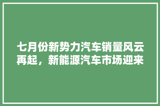 七月份新势力汽车销量风云再起，新能源汽车市场迎来新格局