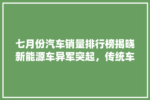 七月份汽车销量排行榜揭晓新能源车异军突起，传统车企面临挑战