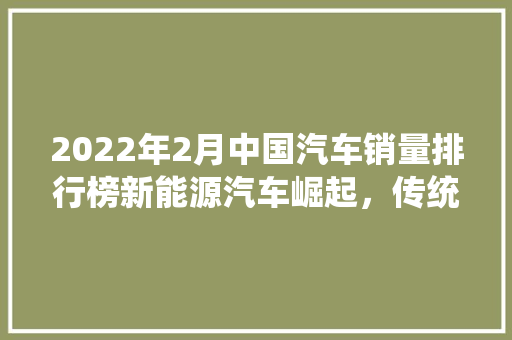 2022年2月中国汽车销量排行榜新能源汽车崛起，传统车企转型加速