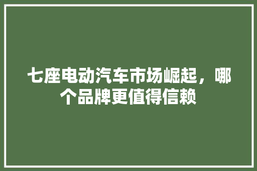 七座电动汽车市场崛起，哪个品牌更值得信赖