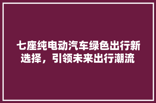 七座纯电动汽车绿色出行新选择，引领未来出行潮流