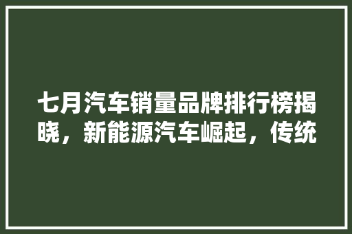 七月汽车销量品牌排行榜揭晓，新能源汽车崛起，传统车企蓄势待发