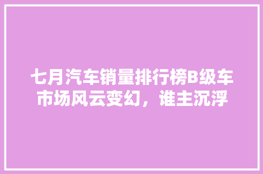 七月汽车销量排行榜B级车市场风云变幻，谁主沉浮