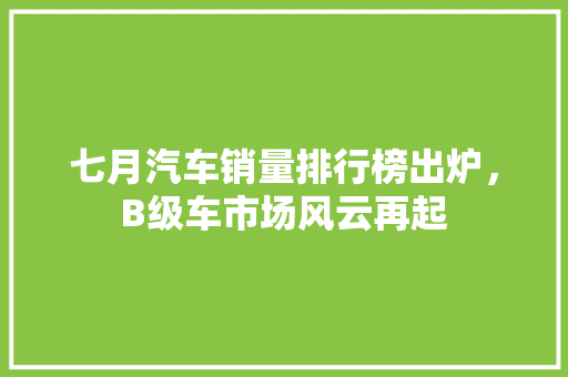 七月汽车销量排行榜出炉，B级车市场风云再起
