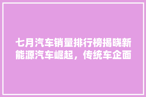 七月汽车销量排行榜揭晓新能源汽车崛起，传统车企面临挑战