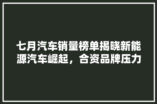 七月汽车销量榜单揭晓新能源汽车崛起，合资品牌压力倍增