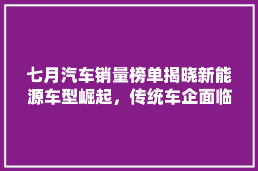 七月汽车销量榜单揭晓新能源车型崛起，传统车企面临挑战