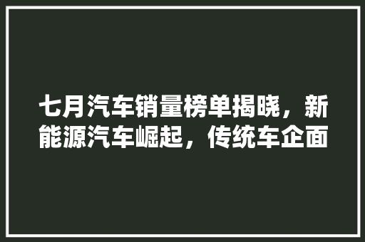 七月汽车销量榜单揭晓，新能源汽车崛起，传统车企面临挑战