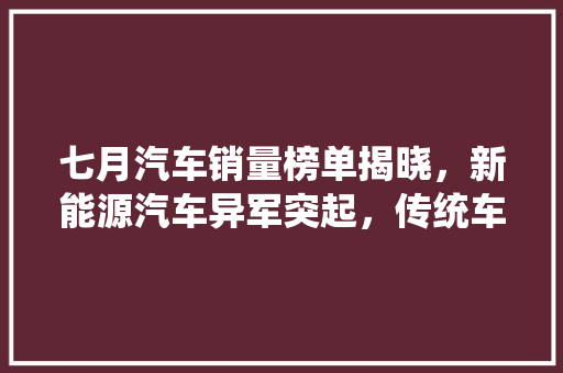 七月汽车销量榜单揭晓，新能源汽车异军突起，传统车企面临挑战