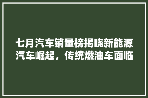七月汽车销量榜揭晓新能源汽车崛起，传统燃油车面临挑战