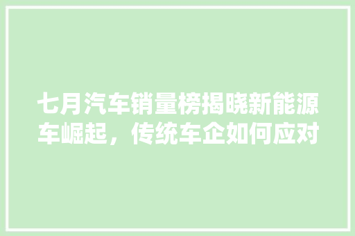 七月汽车销量榜揭晓新能源车崛起，传统车企如何应对