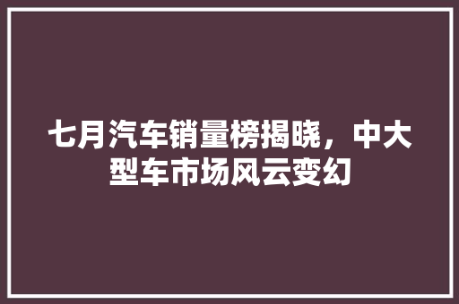 七月汽车销量榜揭晓，中大型车市场风云变幻