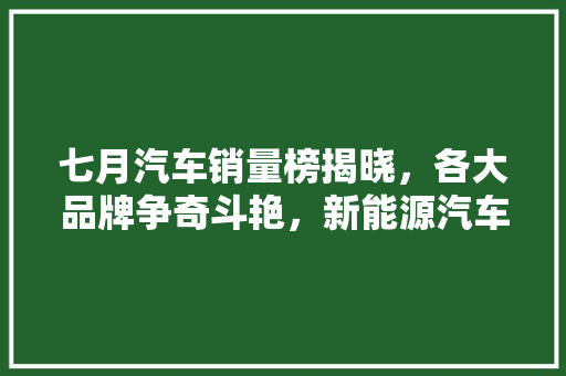 七月汽车销量榜揭晓，各大品牌争奇斗艳，新能源汽车崛起