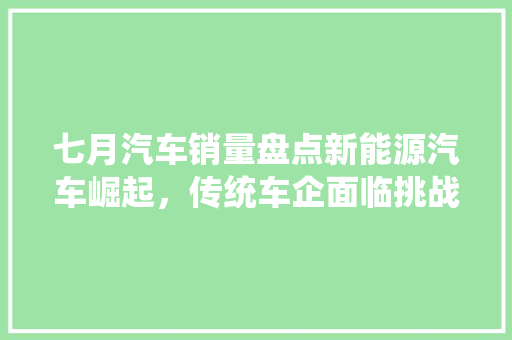 七月汽车销量盘点新能源汽车崛起，传统车企面临挑战
