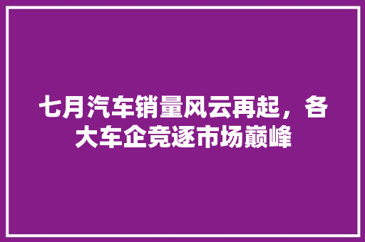 七月汽车销量风云再起，各大车企竞逐市场巅峰