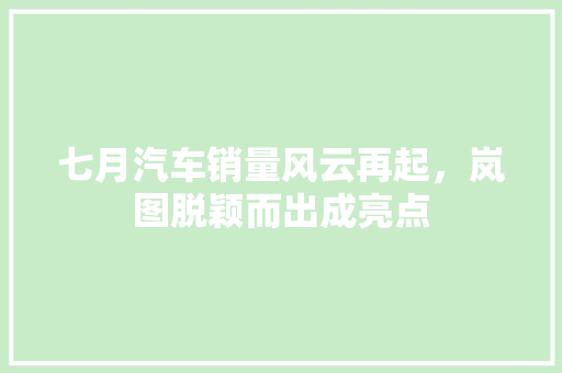 七月汽车销量风云再起，岚图脱颖而出成亮点