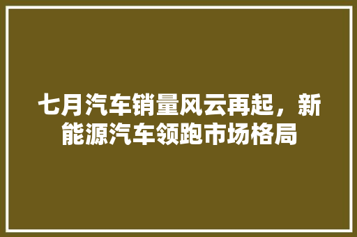 七月汽车销量风云再起，新能源汽车领跑市场格局