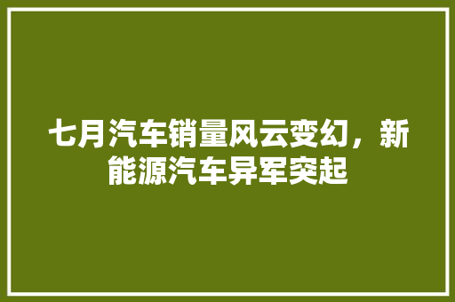 七月汽车销量风云变幻，新能源汽车异军突起
