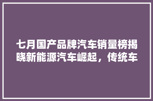 七月国产品牌汽车销量榜揭晓新能源汽车崛起，传统车企稳扎稳打