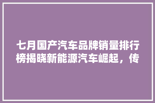 七月国产汽车品牌销量排行榜揭晓新能源汽车崛起，传统车企稳扎稳打