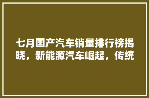 七月国产汽车销量排行榜揭晓，新能源汽车崛起，传统车企砥砺前行