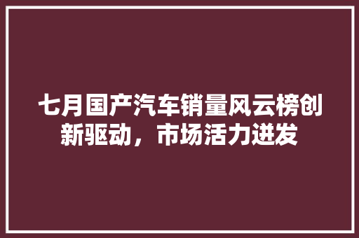七月国产汽车销量风云榜创新驱动，市场活力迸发