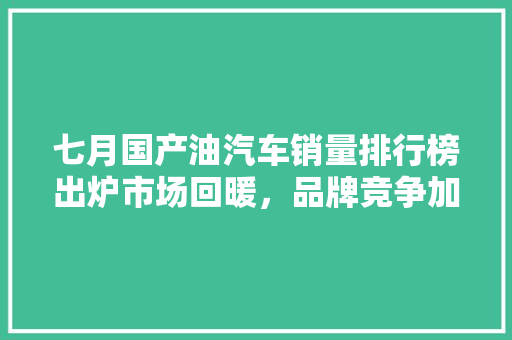 七月国产油汽车销量排行榜出炉市场回暖，品牌竞争加剧