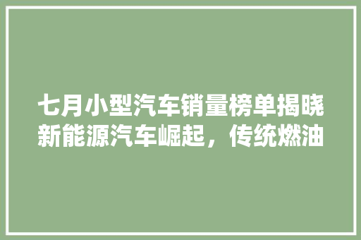 七月小型汽车销量榜单揭晓新能源汽车崛起，传统燃油车面临挑战
