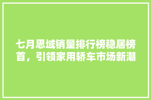 七月思域销量排行榜稳居榜首，引领家用轿车市场新潮流