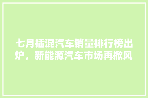 七月插混汽车销量排行榜出炉，新能源汽车市场再掀风云