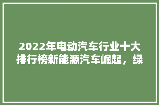 2022年电动汽车行业十大排行榜新能源汽车崛起，绿色出行新时代来临