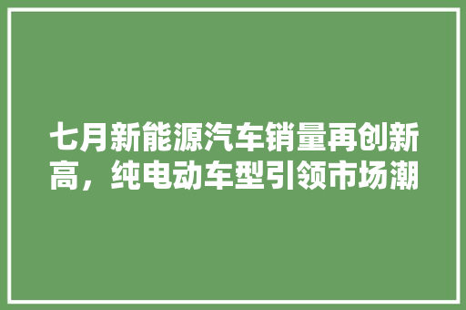 七月新能源汽车销量再创新高，纯电动车型引领市场潮流