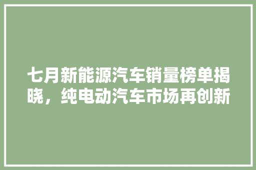七月新能源汽车销量榜单揭晓，纯电动汽车市场再创新高
