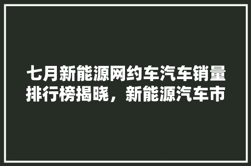 七月新能源网约车汽车销量排行榜揭晓，新能源汽车市场持续升温