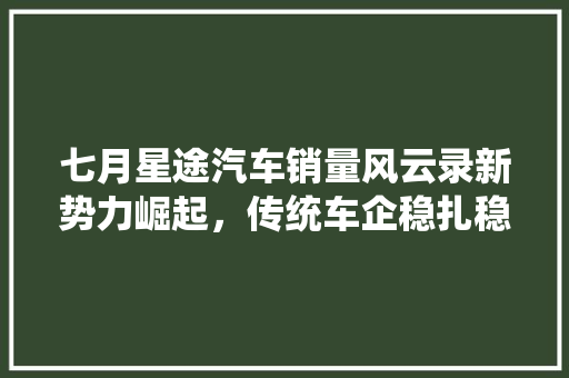 七月星途汽车销量风云录新势力崛起，传统车企稳扎稳打