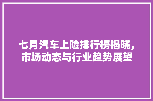 七月汽车上险排行榜揭晓，市场动态与行业趋势展望