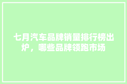 七月汽车品牌销量排行榜出炉，哪些品牌领跑市场