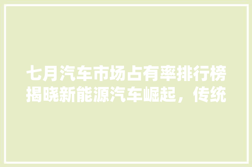 七月汽车市场占有率排行榜揭晓新能源汽车崛起，传统车企面临挑战