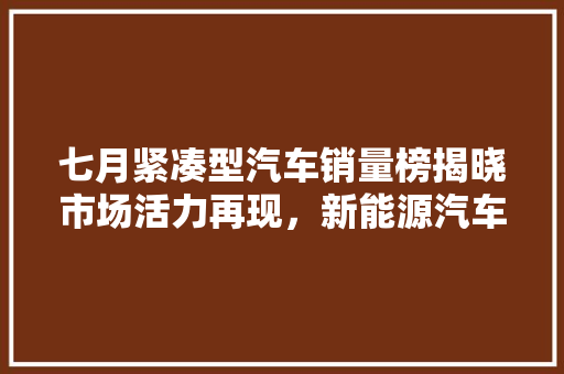 七月紧凑型汽车销量榜揭晓市场活力再现，新能源汽车崛起