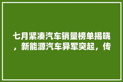 七月紧凑汽车销量榜单揭晓，新能源汽车异军突起，传统车企如何应对