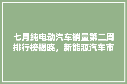 七月纯电动汽车销量第二周排行榜揭晓，新能源汽车市场持续火热