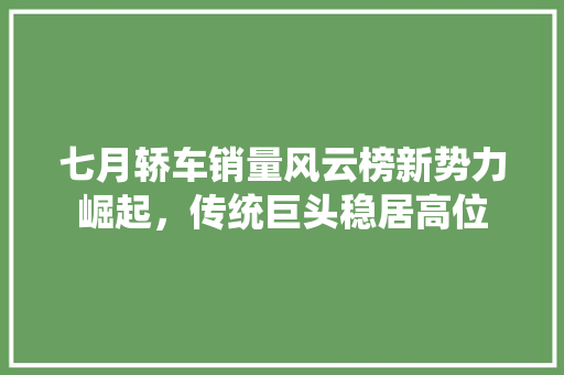 七月轿车销量风云榜新势力崛起，传统巨头稳居高位